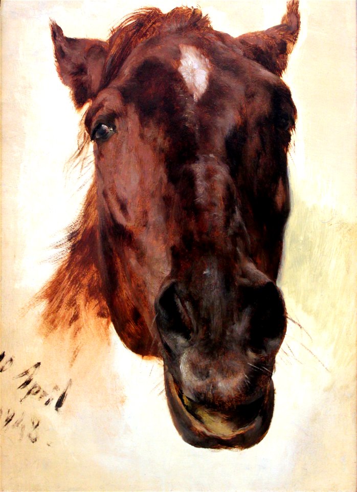 1848 Menzel Pferdestudie anagoria