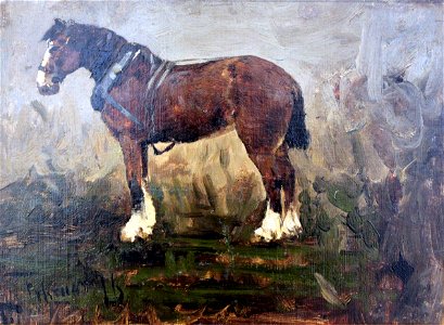 1876 Feddersen Thüringer Pferd anagoria