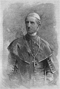 1889-16 Schopper György