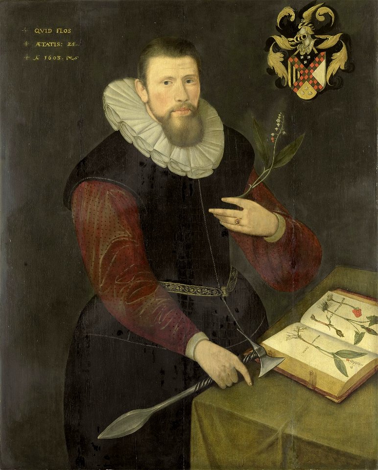 Portrait of a botanist 1603
