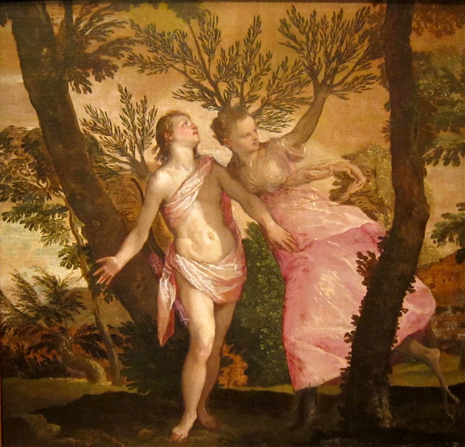 Apollo and Daphne by Veronese, San Diego Museum of Art