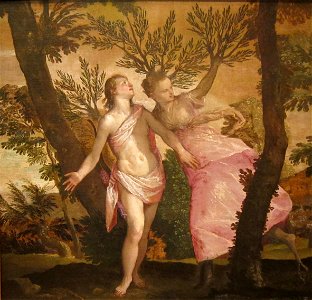 Apollo and Daphne by Veronese, San Diego Museum of Art. Free illustration for personal and commercial use.