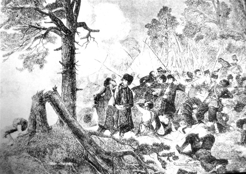 Battle on Sowia Góra 1863