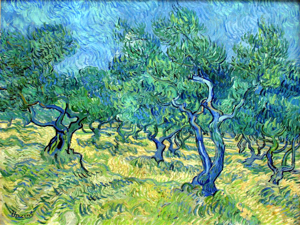 1889-06 van Gogh Olivengarten anagoria