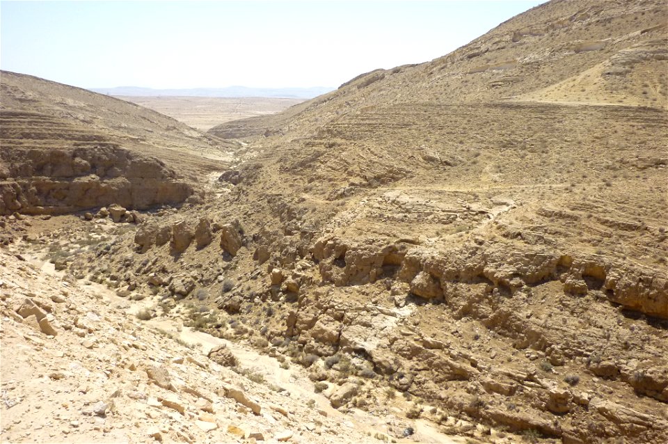 Wadi Mamshit