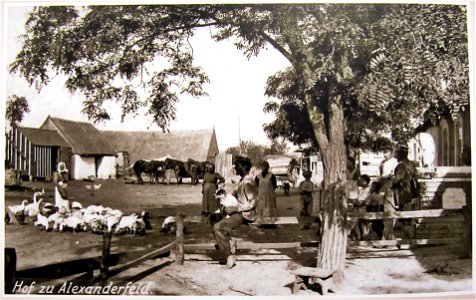 1918. Hof zu Alexanderfeld