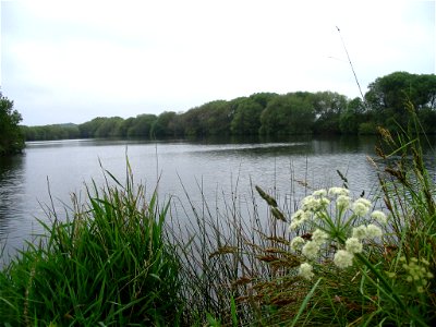 PECHE PONTAVENNEC 22 05 07 (5)