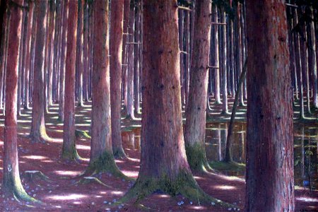 1920 Lambrecht Fichtenwald anagoria