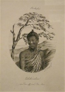 Lahihenahou, an Officer of the King by Jacques Arago, Honolulu Museum of Art