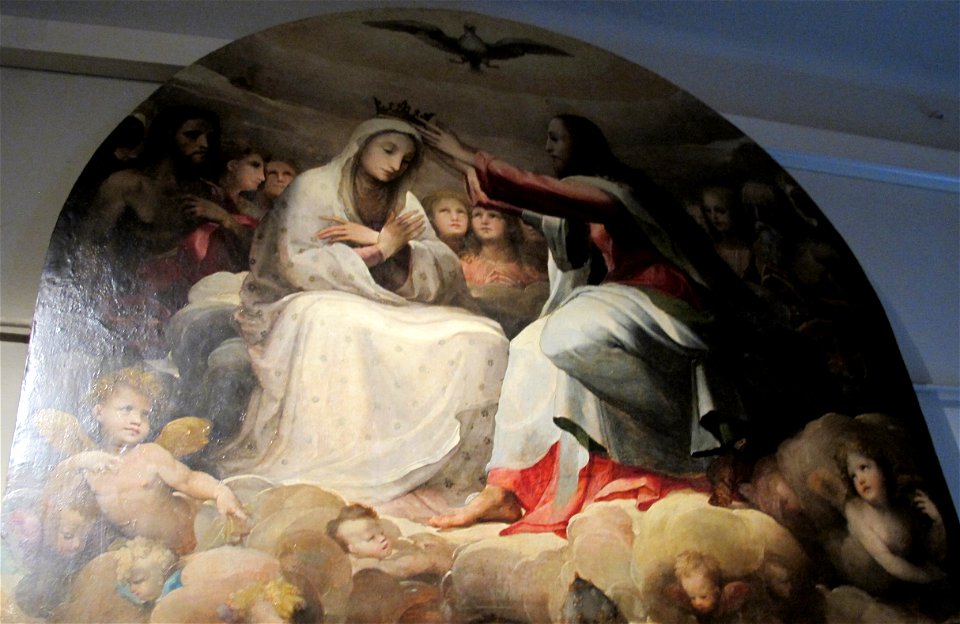 Beccafumi, incoronazione della vergine e santi, 1540 ca, 03