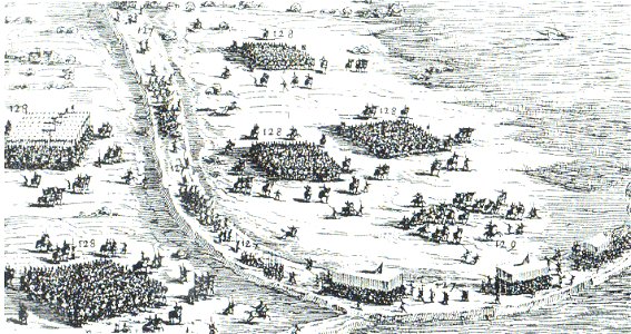 Beleg van Breda 1624 - Staatse aanval op Terheijden