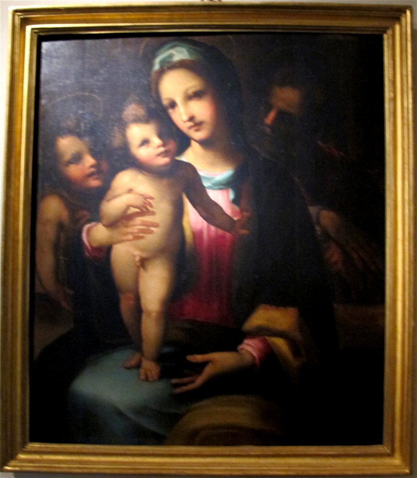 Beccafumi, sacra famiglia con s. giovannino