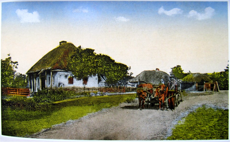 1917. Settlement in Tavria (Southern Ukraine). Postcard