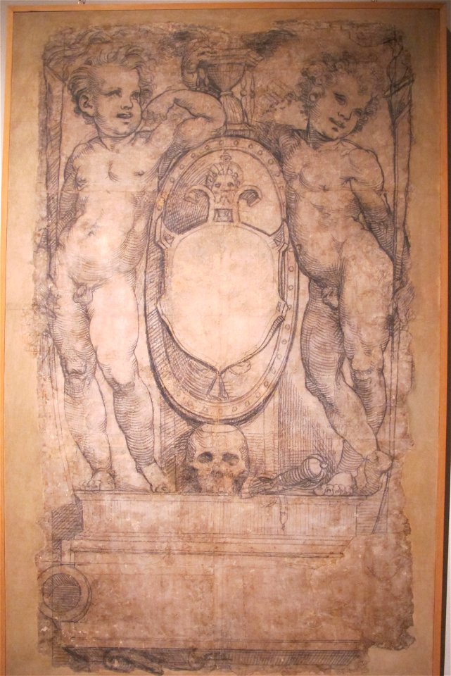 Beccafumi, putti reggistemma, cartone per lapide funeraria, 1530-35