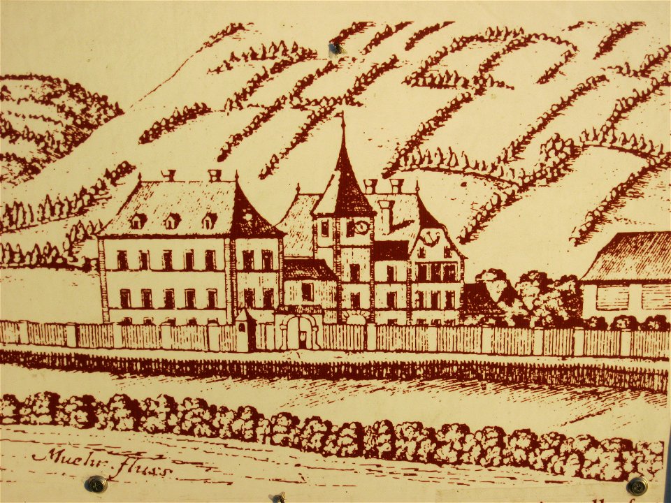AT-35880 Burgruine Einödhof - Apfelberg 011