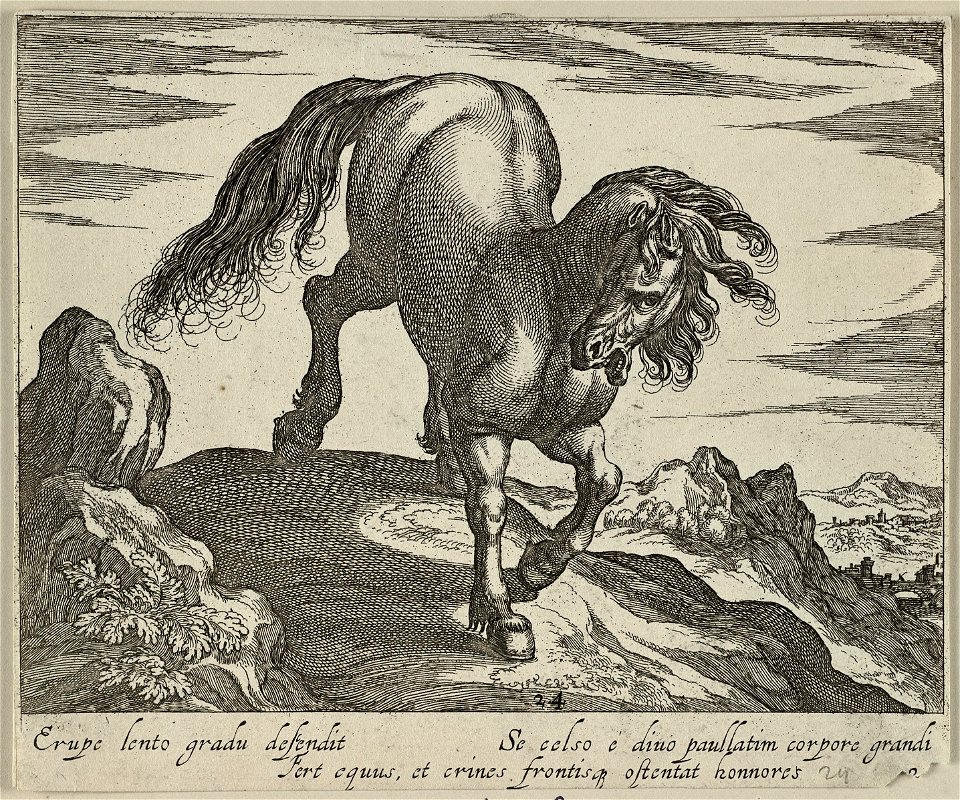 Bergachtig landschap met een paard, lopend op een heuvel. van voren gezien. NL-HlmNHA 1477 53011518
