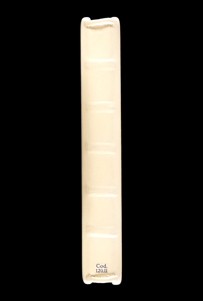 Bern, Burgerbibliothek, Cod. 120.II, Spine – Petrus de Ebulo Liber ad honorem Augusti, lat