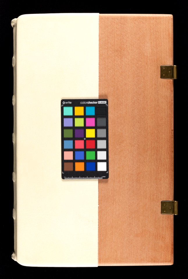 Bern, Burgerbibliothek, Cod. 120.II, QP card on binding – Petrus de Ebulo Liber ad honorem Augusti, lat