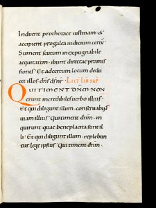 Beromünster, Stiftskirche St. Michael, Epistolar, f. 116r – Epistolary