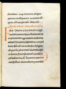 Beromünster, Stiftskirche St. Michael, Epistolar, f. 105r – Epistolary