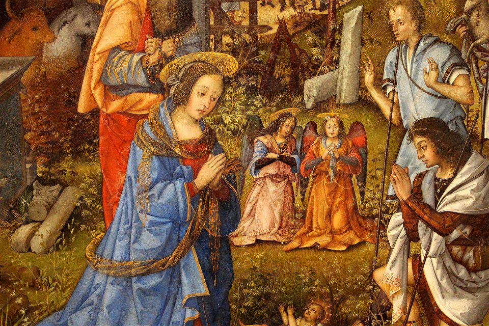 Amico aspertini, adorazione dei pastori, 1496 ca. 04