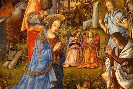 Amico aspertini, adorazione dei pastori, 1496 ca. 04