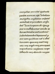 Beromünster, Stiftskirche St. Michael, Epistolar, f. 104v – Epistolary