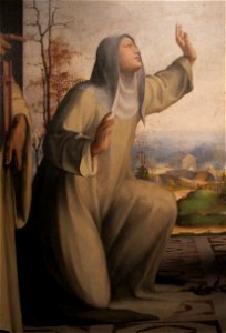 Beccafumi, stimmate di caterina da siena tra i santi benedetto e girolamo, 1514-17, 03