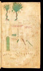 Bern, Burgerbibliothek, Cod. 120.II, f. 122r – Petrus de Ebulo Liber ad honorem Augusti, lat