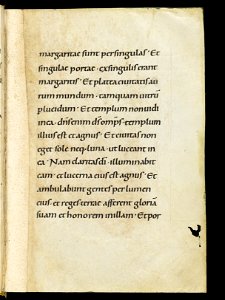 Beromünster, Stiftskirche St. Michael, Epistolar, f. 129r – Epistolary