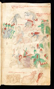 Bern, Burgerbibliothek, Cod. 120.II, f. 123r – Petrus de Ebulo Liber ad honorem Augusti, lat