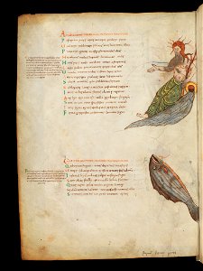 Bern, Burgerbibliothek, Cod. 88, f. 7v – Aratus – Germanicus Phaenomena