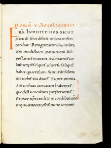 Beromünster, Stiftskirche St. Michael, Epistolar, f. 20r – Epistolary