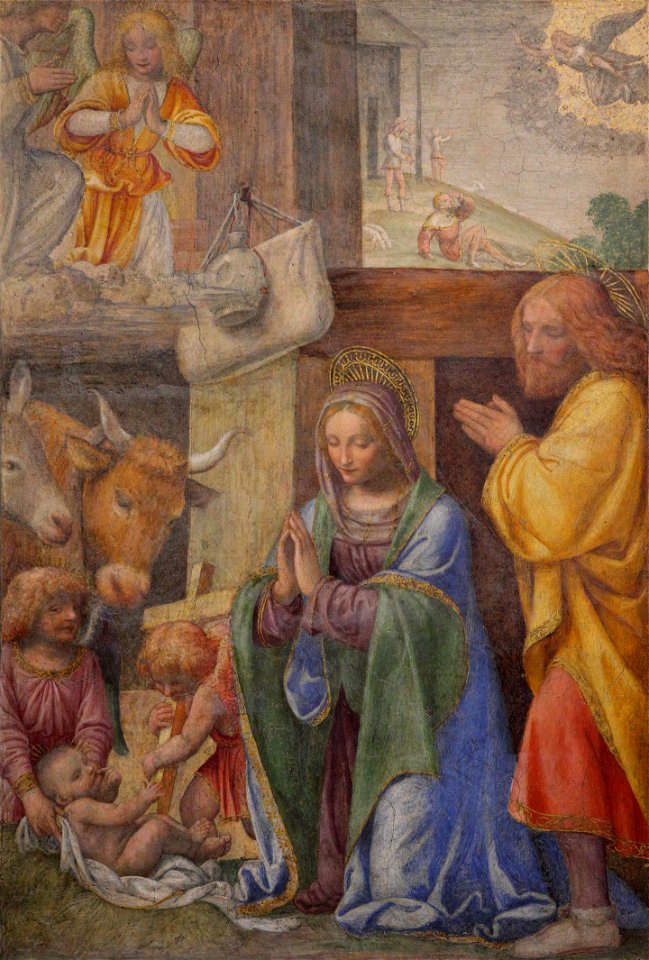 Bernardino luini, natività, 1520-25 ca., da un oratorio a greco milanese