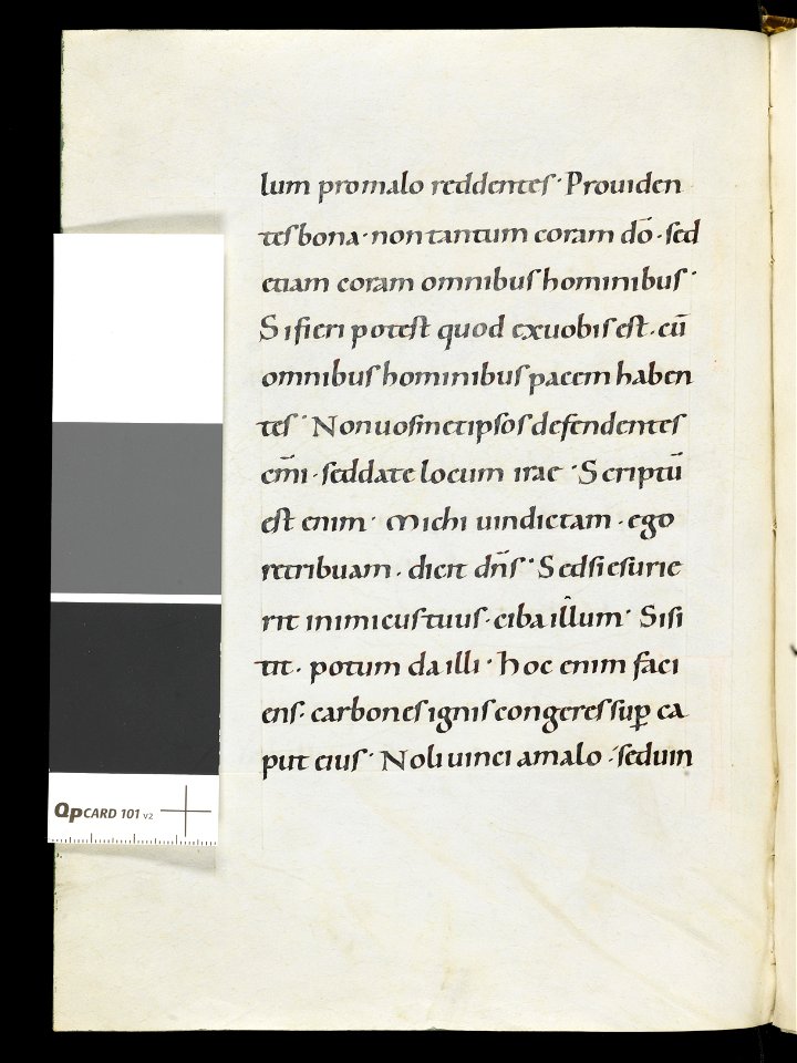 Beromünster, Stiftskirche St. Michael, Epistolar, QP card on page – Epistolary