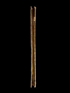 Bern, Burgerbibliothek, Cod. 88, Fore edge – Aratus – Germanicus Phaenomena