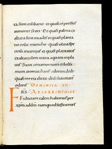 Beromünster, Stiftskirche St. Michael, Epistolar, f. 88r – Epistolary