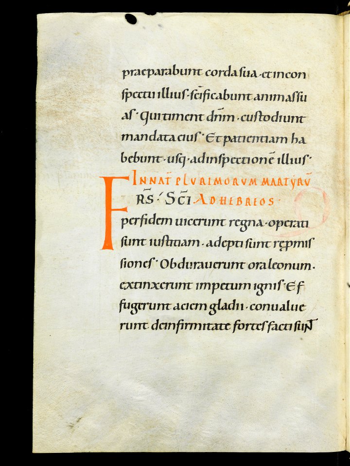 Beromünster, Stiftskirche St. Michael, Epistolar, f. 116v – Epistolary