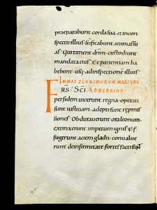 Beromünster, Stiftskirche St. Michael, Epistolar, f. 116v – Epistolary