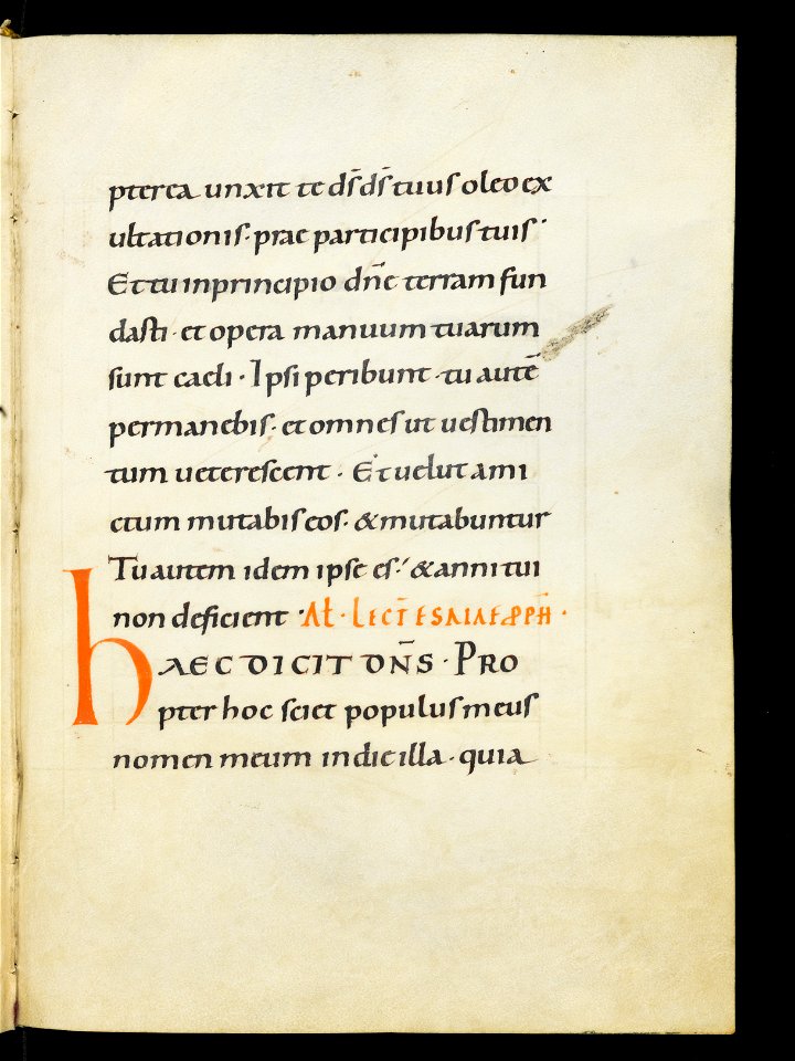 Beromünster, Stiftskirche St. Michael, Epistolar, f. 7r – Epistolary