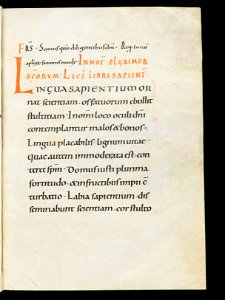 Beromünster, Stiftskirche St. Michael, Epistolar, f. 115r – Epistolary