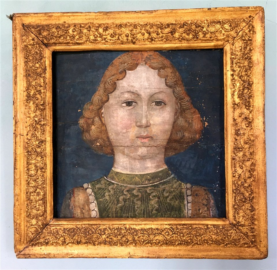 Buste de jeune homme - Musée Jacquemart-André de l'Abbaye de Chaalis