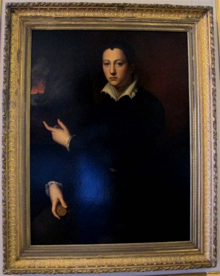 Bronzino, ritratto del giovane cosimo I