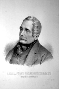 Camille Fürst Rohan Litho