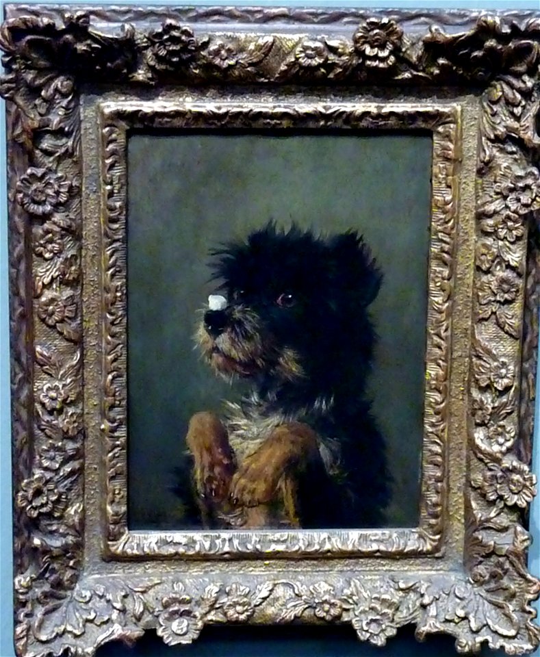 Carl Friedrich Deiker - Hund mit Zuckerstück auf der Nase