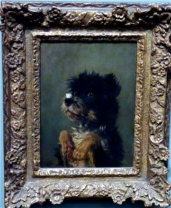 Carl Friedrich Deiker - Hund mit Zuckerstück auf der Nase