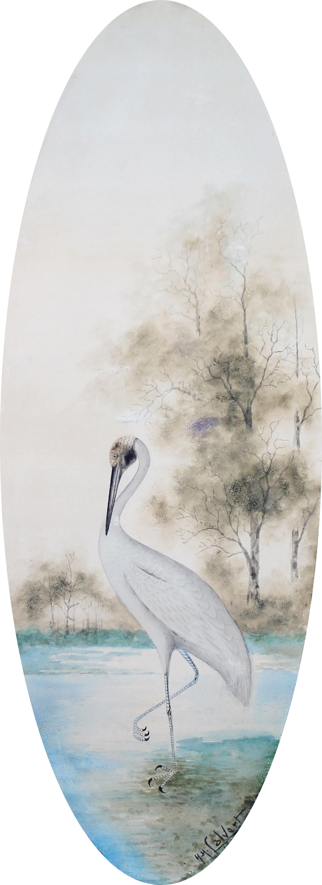 BROLGA (1912)