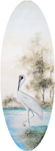 BROLGA (1912)