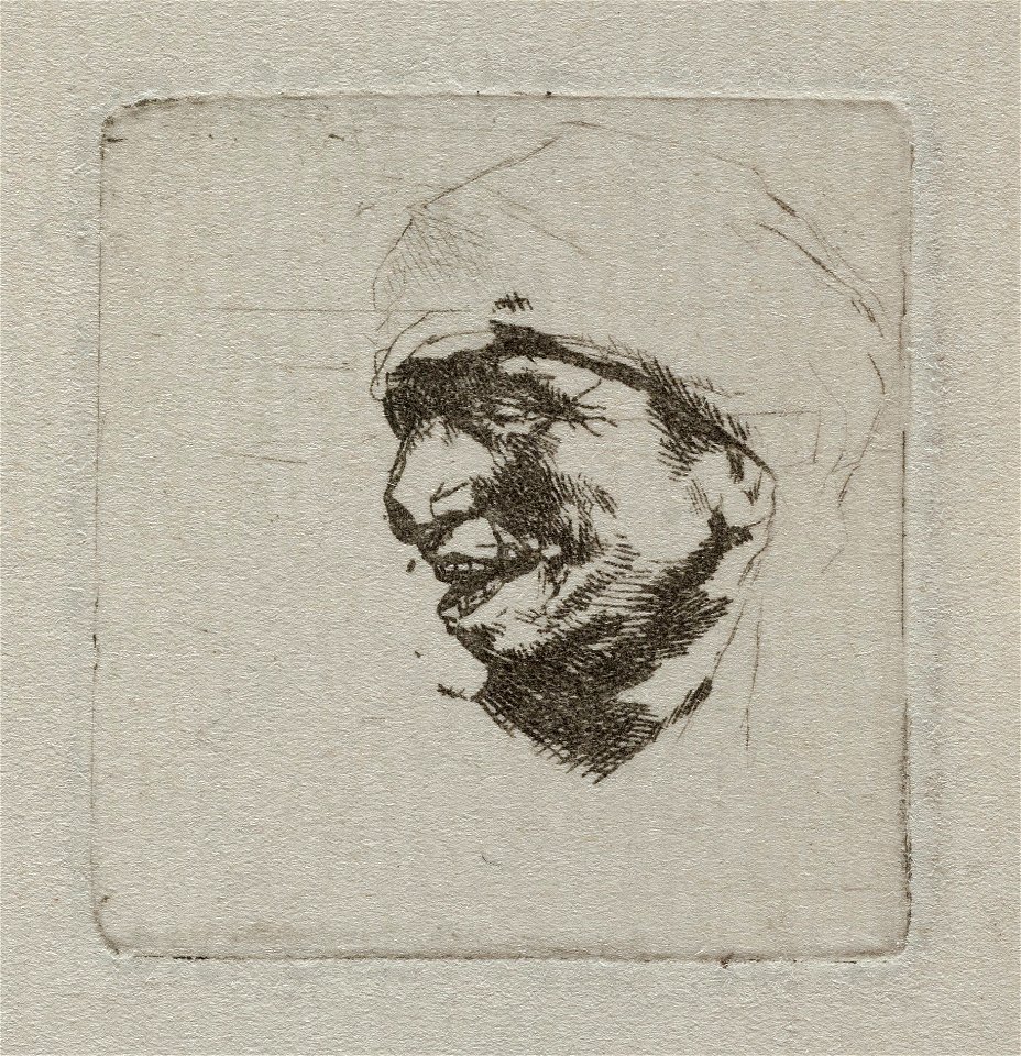 Buste van lachende boer, NL-HlmNHA 53010048
