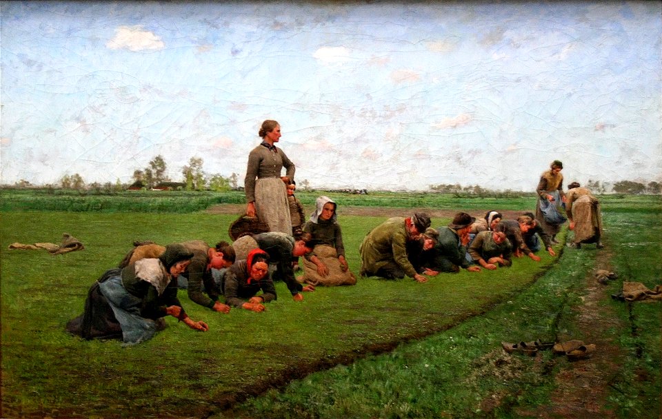Emile Claus - Vlaswieden in Vlaanderen